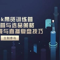 TikTok带货训练营，账号运营与选品策略，AI脚本生成与直播复盘技巧