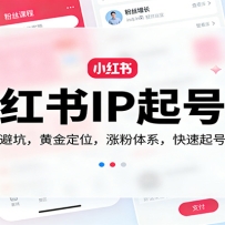小红书IP起号课：新手避坑，黄金定位，涨粉体系，快速起号变现