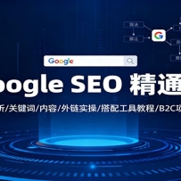 Google SEO 精通课：算法解析/关键词/内容/外链实操/搭配工具教程/B2C项目