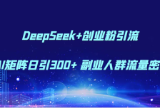 DeepSeek+创业粉引流 AI矩阵日引300+ 副业人群流量密码