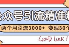 公众号私域获客，软文引流个人IP打造日引30+，快速沉淀起自己的私域流量池