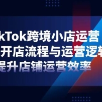 TikTok跨境小店运营，精通开店流程与运营逻辑，提升店铺运营效率