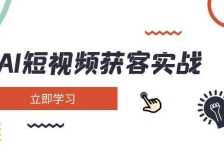 AI短视频获客实战：涵盖矩阵营销、搭建、定位、素材拍摄、起号、变现等