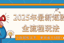 2025年最新短剧玩法，全流程实操，小白轻松上手，视频号抖音同步分发，单日