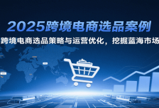 2025跨境电商选品案例，跨境电商选品策略与运营优化，挖掘蓝海市场