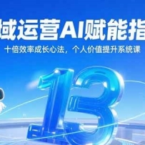 私域运营AI赋能指南，十倍效率成长心法，个人价值提升系统课