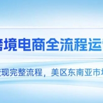 TK跨境电商全流程运营课，从选品到变现完整流程，美区东南亚市场深度解析
