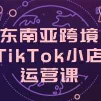 东南亚跨境TikTok小店运营课，掌握店铺设置与流量转化核心技巧