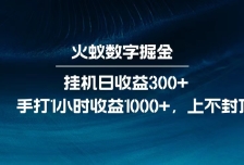 全网独家玩法，全新脚本挂机日收益300+，每日手打1小时收益1000+
