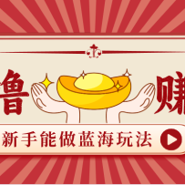 新手也能变现的蓝海玩法，一个人人能做的项目，需求量极大日入300+！