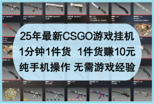 25年最新CSGO游戏挂机，1分钟1件货，1件货赚10元，纯手机操作，无需游戏经