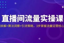 直播间流量实操课：机制拆解+算法洞察+引流策略，3步掌握流量运营核心逻辑