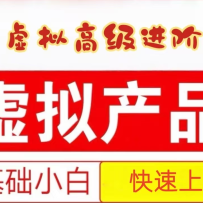 25拼多多虚拟资料高级进阶玩法，小白也能快速上手，保姆级教程