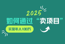 2025年如何通过“卖项目”实现年入100w