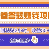 问卷赚钱零撸小项目，新手小白也能操作，每天复制粘贴2小时，收益50+