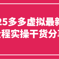 2025多多虚拟最新版（全程实操干货分享）工作室可以批量复制，主打一个稳定