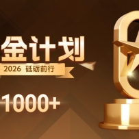 整合现在市面上的3种美金赚钱玩法，3种模式。单日产值·100U+