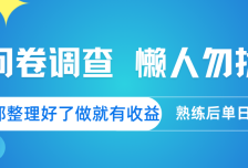 问卷调查  懒人勿扰 问卷都整理好了，做就有收益，熟练后日入300+