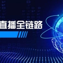 半无人直播全链路：AI数字人+千川截流实战，女装选品与防违规处理稳定玩法