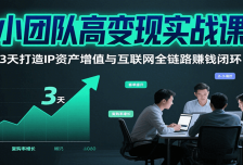 小团队高变现实战课，3天打造IP资产增值与互联网全链路赚钱闭环（第二期）