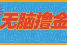 无脑搬砖赚钱项目，利用AI工具零成本零门槛新手也能简单上手操作，月入万元