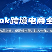 TikTok跨境电商全流程，店铺注册、选品上架、短视频带货、达人合作，新手快