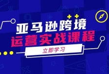 亚马逊跨境运营实战课程：涵盖亚马逊运营、申诉、选品等多个方面