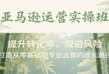 亚马逊运营实操班，提升转化率、规避风险，打造从零基础到专业运营的成长路