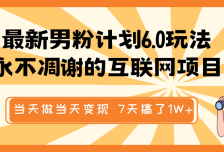 最新男粉计划6.0玩法，永不凋谢的互联网项目 当天做当天变现，视频包原创，