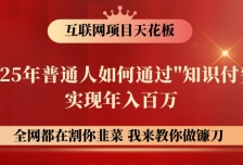 网创项目终点站-镰刀训练营超级IP合伙人，25年普通人如何通过“知识付费”