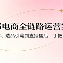 小红书电商全链路运营实战课：从变现方式、选品引流到直播售后，手把手教你