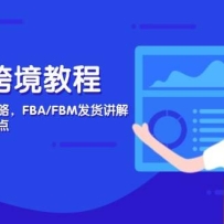 亚马逊跨境教程，店铺注册到选品攻略，FBA/FBM发货讲解，把握风险与利润