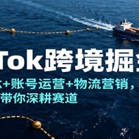 TikTok跨境掘金课，核心概念+账号运营+物流营销，头部博主带你深耕赛道