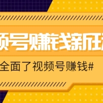 视频号短视频带货新玩法，用这个方法，一天佣金4407（附详细教程）