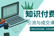 IP合伙人知识付费虚拟项目，引流与成交课程，打通商业变现全链路，实现业绩