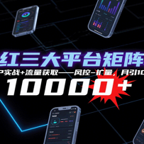 抖快红三大平台矩阵运营，12小时SOP实战+流量获取-风控-扩量，月引10000+线