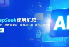 DeepSeek使用汇总，基础到进阶，提示词技巧，掌握AI工具 提升工作效率
