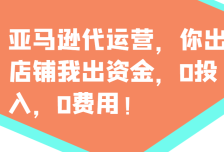 亚马逊代运营，你出店铺我出资金，0投入，0费用，无责任每天300分红，赢亏