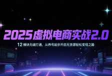 2025虚拟电商实战2.0，12模块无缝打通，从养号起步开启无货源轻松变现之路