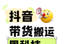 299买来抖音带货搬运技术，苹果安卓都可以，两分钟一个视频，不会封号!