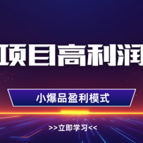 虚拟项目高利润选品方法，单店利润1W+，可多店倍增利润