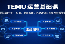 TEMU运营基础课：涵盖店铺注册、申报、商品新建，选品逻辑与实操及定价策略