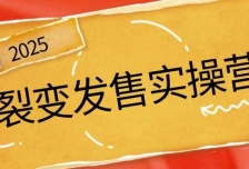 裂变发售实操营，全景解析裂变逻辑，打造动销新玩法，助力私域流量引爆