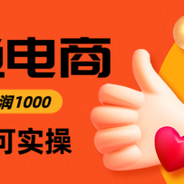 闲鱼高利润电商，当天上架当天出单，一单利润300＋