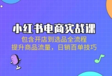 小红书电商实战课：包含开店到选品全流程，提升商品流量，日销百单技巧