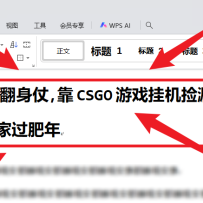 25年底翻身仗，靠CSGO游戏挂机捡漏掘金，搞钱回家过肥年