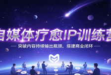 自媒体疗愈IP训练营，突破内容持续输出瓶颈，搭建商业闭环