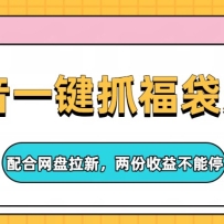 抖音一键抓福袋系列，配合网盘拉新，两份收益不能停