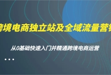 跨境电商独立站及全域流量营销，从0基础快速入门并精通跨境电商运营