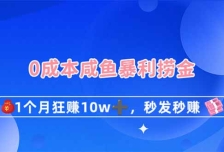 0成本闲鱼暴利捞金，1个月狂赚10W+，秒发秒赚新玩法